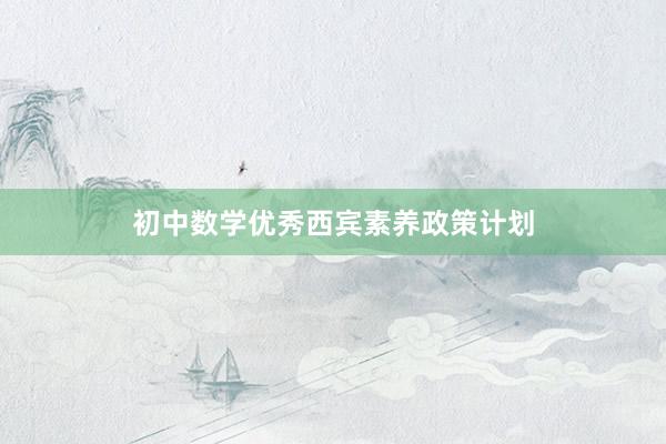 初中数学优秀西宾素养政策计划